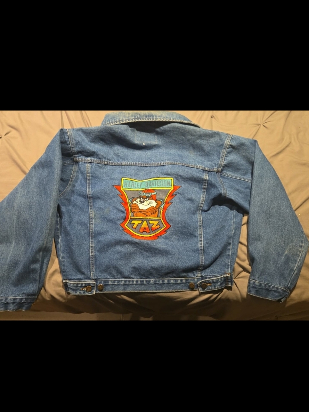 Harley Acme Warner Bros Jean Jacket